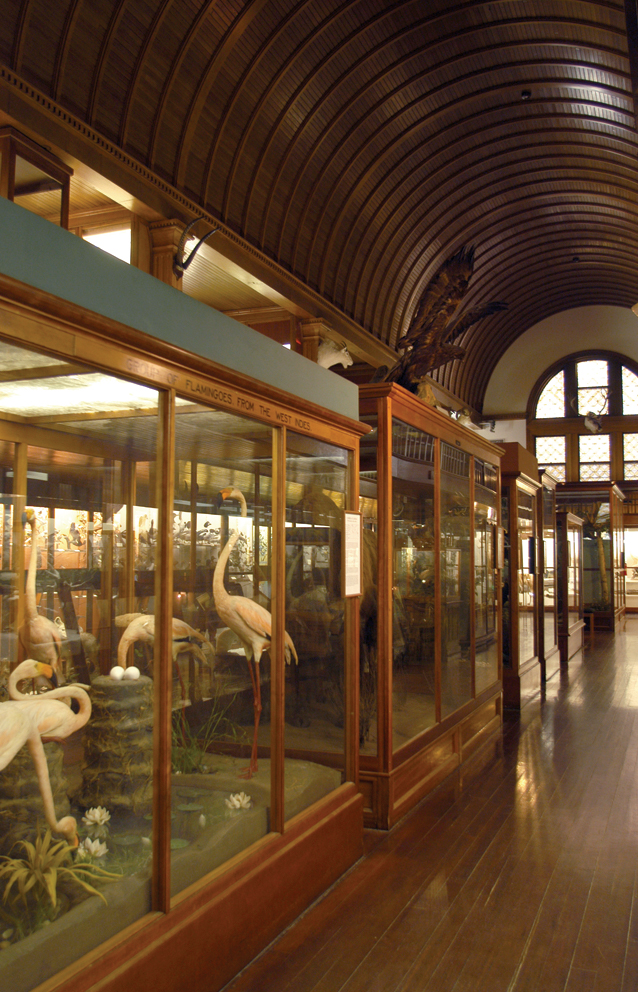 Preservation Grant Amount: $50,000Total Project Costs: $170,000