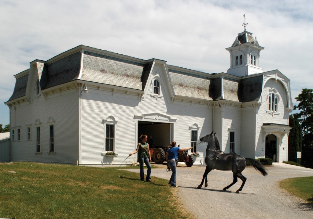 Preservation Grant Awarded: $50,000
Total Project Costs: $375,000