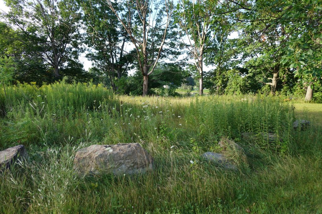 Property Owner: Vermont Land TrustEasement Holder: PTV/VHCB