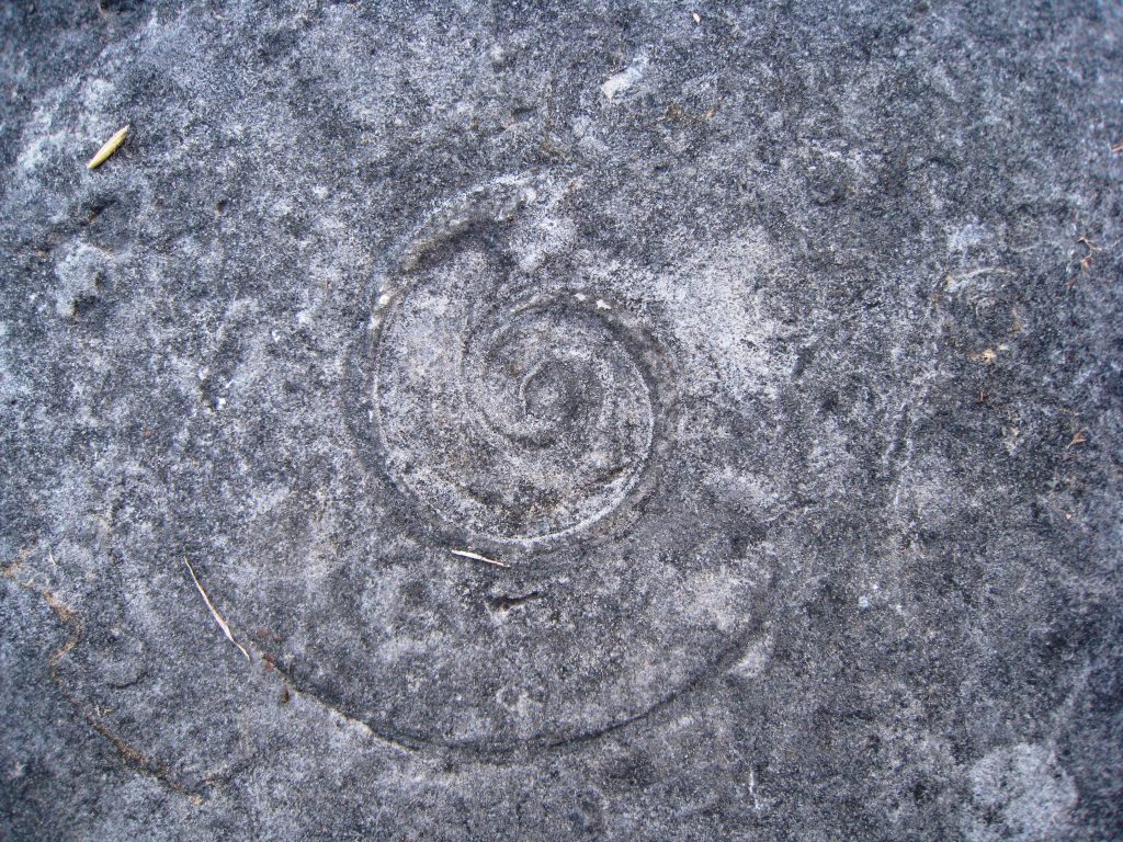 Seed funding for Condition Assessments or technical assistance.