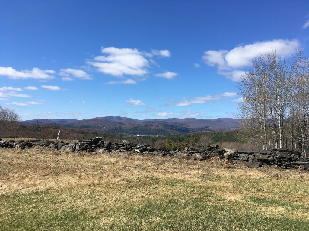 An effort to preserve a piece of land at the Randolph interstate exit is much closer to its goal after a flurry of commitments from several large donors.